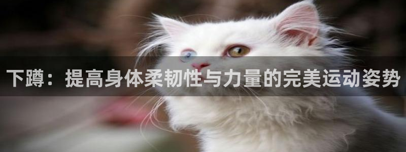 三亿体育登录