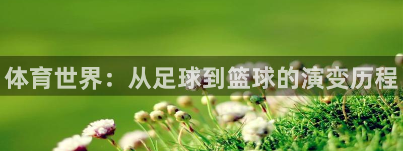 三亿体育网页版