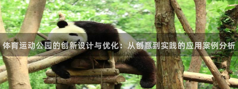 三亿体育网：体育运动公园的创新设计与优化：从创意到实践的应用案例分析
