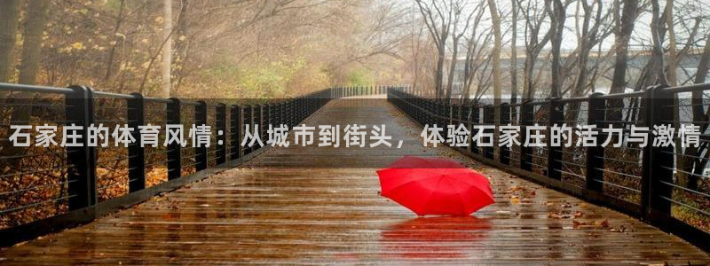 三亿体育网页版：石家庄的体育风情：从城市到街头，体验石家庄的活力与激情