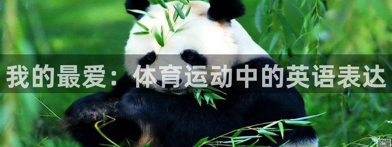 三亿体育网页版：我的最爱：体育运动中的英语表达