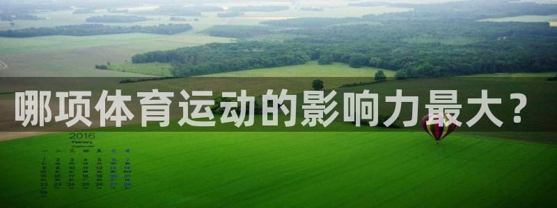 三亿体育网页版