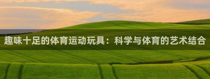 三亿体育网页版：趣味十足的体育运动玩具：科学与体育的艺术结合