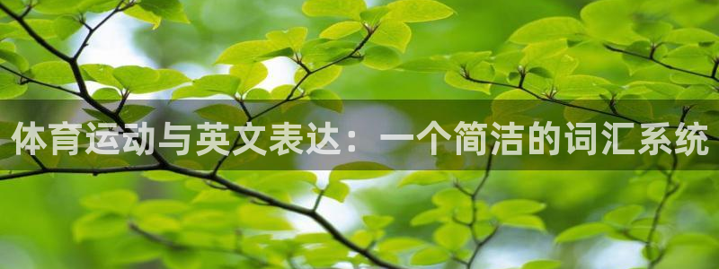 三亿体育：体育运动与英文表达：一个简洁的词汇系统
