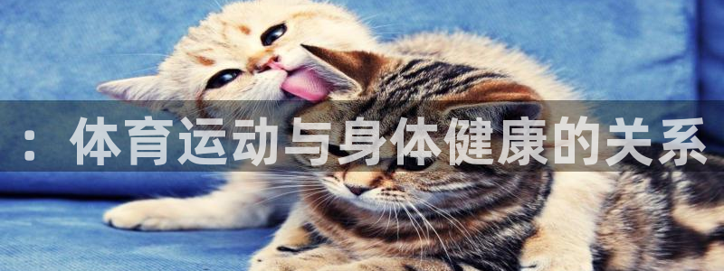 三亿体育网页版：：体育运动与身体健康的关系