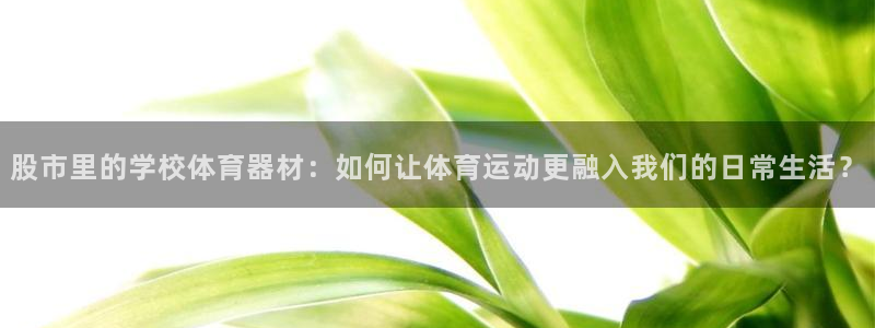 三亿体育登录：股市里的学校体育器材：如何让体育运动更融入我们的日常生活？