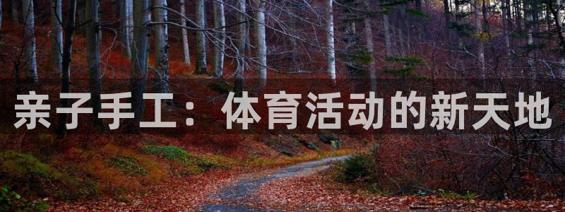 三亿体育：亲子手工：体育活动的新天地
