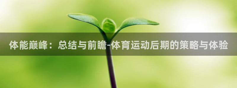 三亿体育：体能巅峰：总结与前瞻-体育运动后期的策略与体验