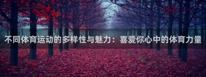 三亿体育：不同体育运动的多样性与魅力：喜爱你心中的体育力量
